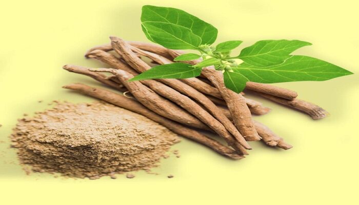 Ashwagandha Root Powder